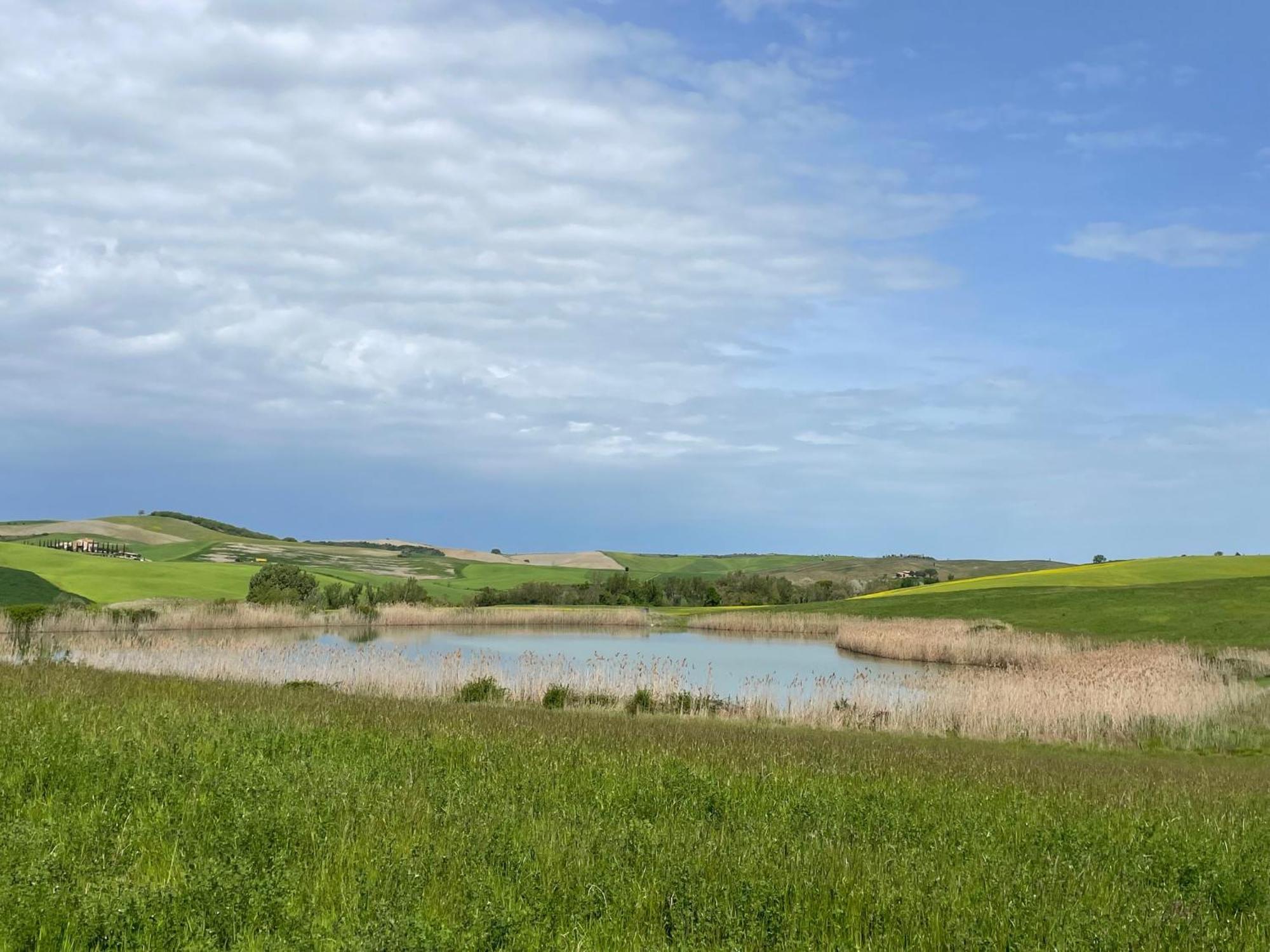 Agriturismo Le Sorbelle D'Orcia Con Piscina بيينْسا المظهر الخارجي الصورة